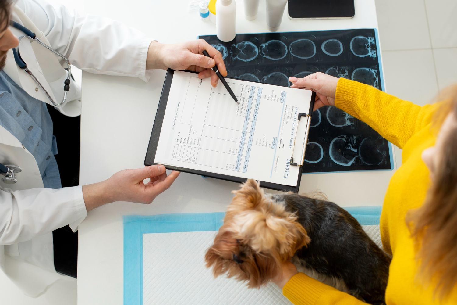 Veterinário examinando laudos com um cachorro